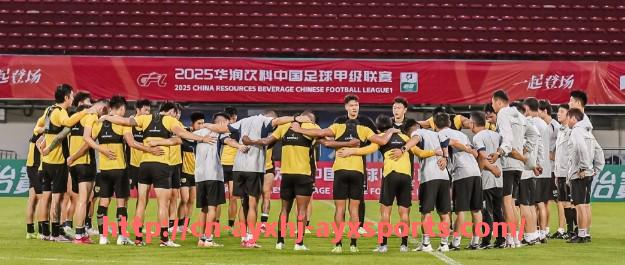 爱游戏体育-德甲球队经济分析:财务状况与商业模式