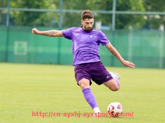 爱游戏体育-意甲球队对德甲球队战绩：德甲与意甲球队交锋历史分析