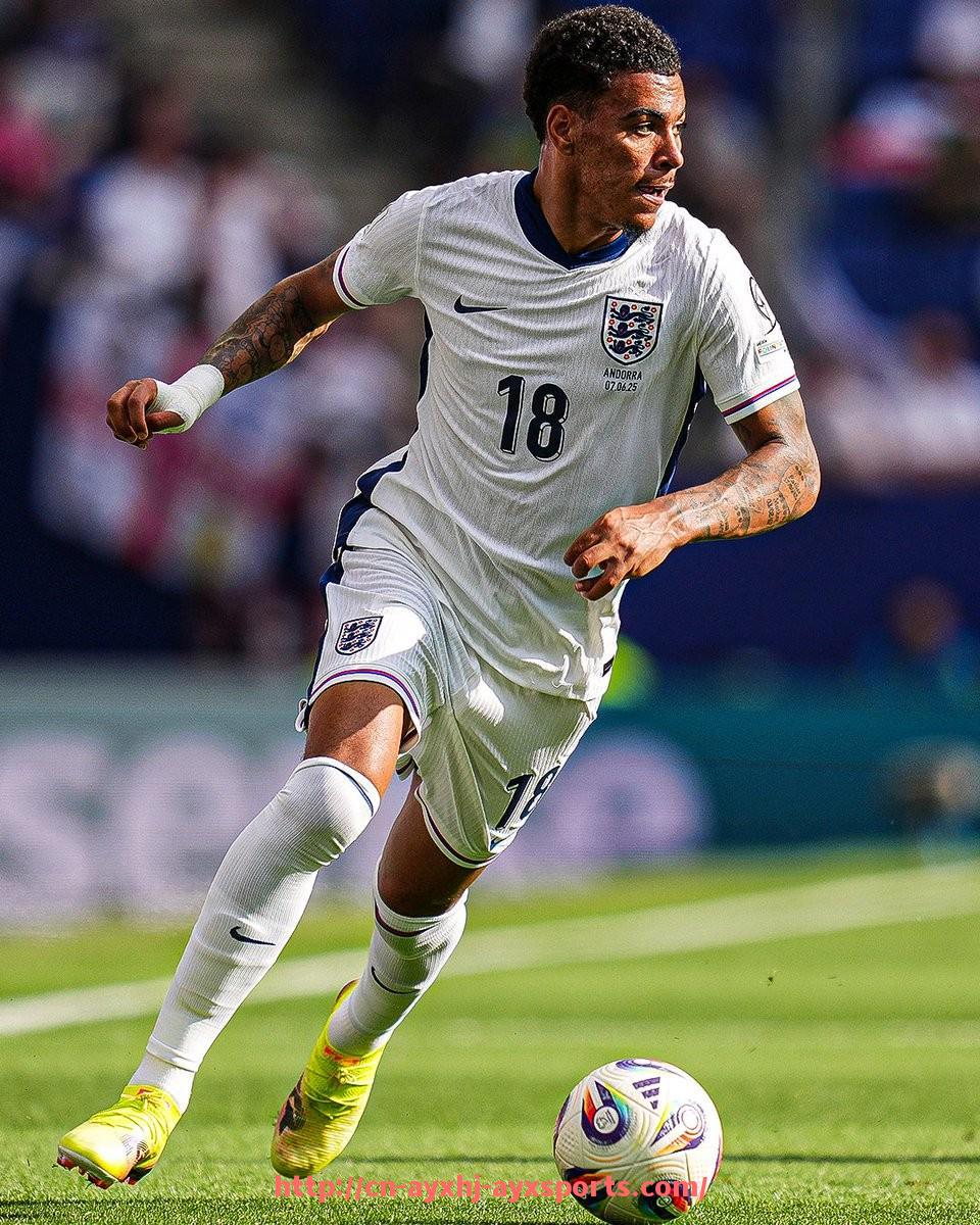 爱游戏体育-扎吉加盟意甲球队的影响及球队调整分析