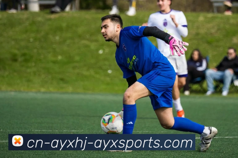 爱游戏发展历程