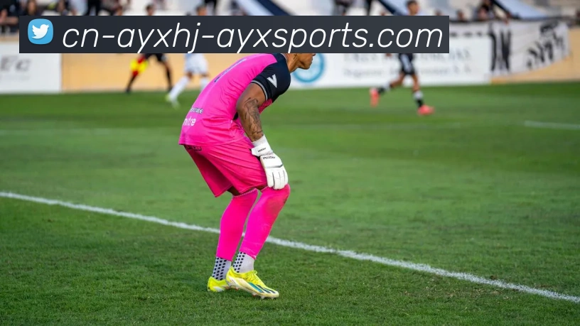 火箭队历年季后赛战绩统计与晋级情况一览